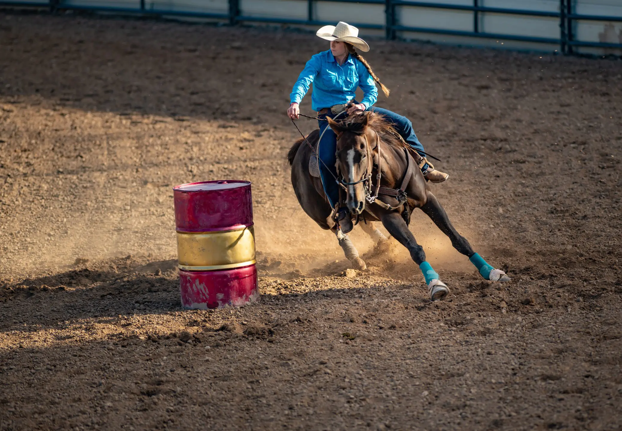 Horse galloping around barrel obstacle