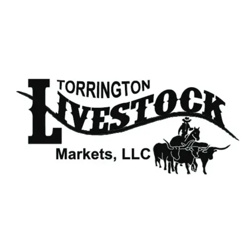 Logo of Torrington Livestock Markets, LLC with a cowboy and cattle graphic.