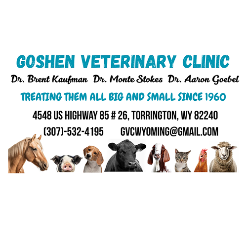 Logo for Goshen Veterinary Clinic featuring a dog illustration and clinic details.